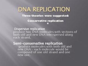 DNA REPLICATION Three theories were suggested Conservative replication