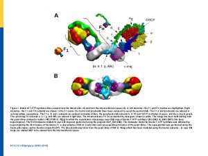 Figure 1 Model of FATP synthase dimer viewed