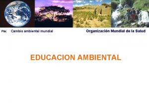 Fte Cambio ambiental mundial Organizacin Mundial de la