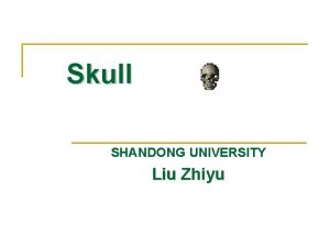 Skull SHANDONG UNIVERSITY Liu Zhiyu Skull The skull