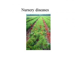 Nursery diseases Nursery environment Nursery environment is a