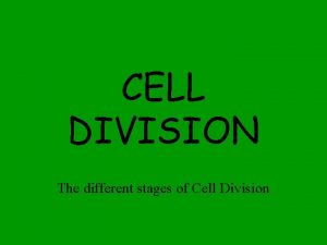 CELL DIVISION The different stages of Cell Division