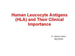 Human Leucocyte Antigens HLA and Their Clinical Importance