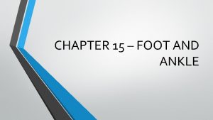 CHAPTER 15 FOOT AND ANKLE FOOT ANATOMY It