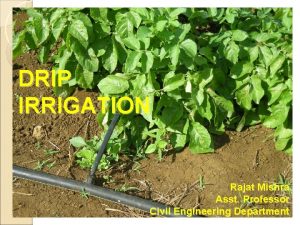 DRIP IRRIGATION Rajat Mishra Asst Professor Civil Engineering