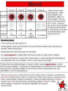 Blood There are four main blood groups Other