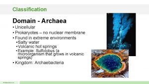 Classification Domain Archaea Unicellular Prokaryotes no nuclear membrane