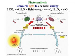 Photosynthesis Converts light to chemical energy 6 CO