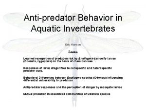 Antipredator Behavior in Aquatic Invertebrates Eric Hanson Papers