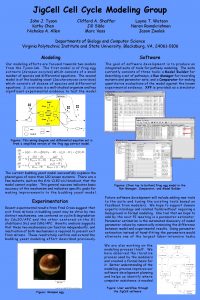 Jig Cell Cycle Modeling Group John J Tyson