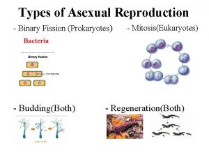 Types of Asexual Reproduction Binary Fission Prokaryotes MitosisEukaryotes