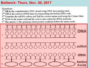 Bellwork Thurs Nov 30 2017 How our Genes