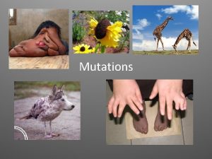 Mutations What are Mutations Mutations are changes in