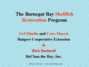 The Barnegat Bay Shellfish Restoration Program Gef Flimlin