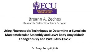 Breann A Zeches Research Distinction Track Scholar Using