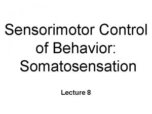 Sensorimotor Control of Behavior Somatosensation Lecture 8 Somatosensation