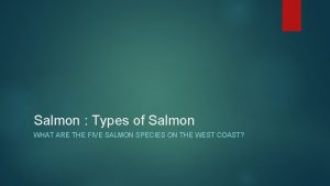 Salmon Types of Salmon WHAT ARE THE FIVE