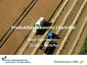 Produktionskonomi i kartofler Peter Klemmensen DLBR Kartofler Dansk