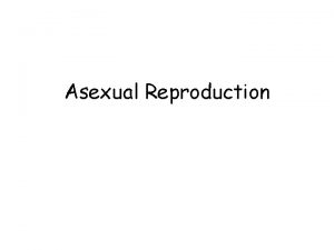 Asexual Reproduction Sexual Asexual Reproduction Involves two cellorganisms