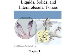 Liquids Solids and Intermolecular Forces Chapter 11 Geckos