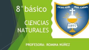 8bsico CIENCIAS NATURALES PROFESORA ROMINA NEZ HORARIO DE