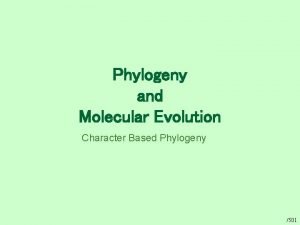 Phylogeny and Molecular Evolution Character Based Phylogeny 501