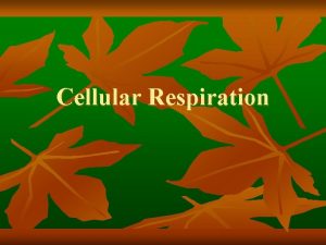 Cellular Respiration Cellular Respiration An analogy can be