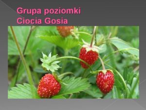 Grupa poziomki Ciocia Gosia TEMAT TYGODNIA CHCIABYM ZOSTA