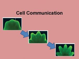 Cell Communication Cell Communication Celltocell communication is absolutely