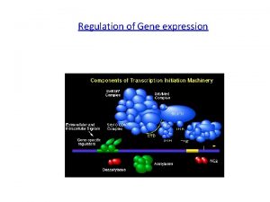 Regulation of Gene expression Gene Regulation Learning Goals