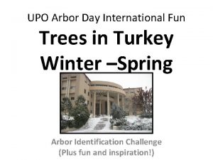 UPO Arbor Day International Fun Trees in Turkey