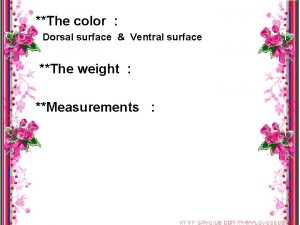 The color Dorsal surface Ventral surface The weight