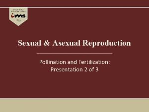 Sexual Asexual Reproduction Pollination and Fertilization Presentation 2