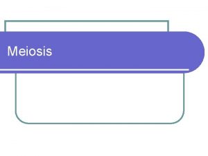 Meiosis Bellwork l Why do your siblings not