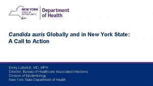 Candida auris Globally and in New York State