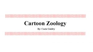 Cartoon Zoology By Cacie Guidry Horse Alligator Orangutan