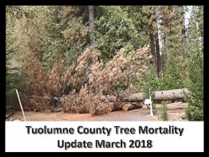 Tuolumne County Tree Mortality Update March 2018 Fiscal