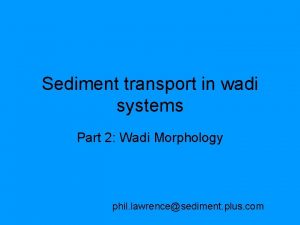 Sediment transport in wadi systems Part 2 Wadi