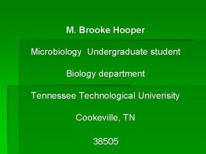 M Brooke Hooper Microbiology Undergraduate student Biology department