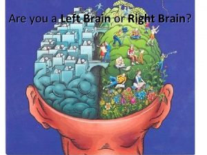 Are you a Left Brain or Right Brain