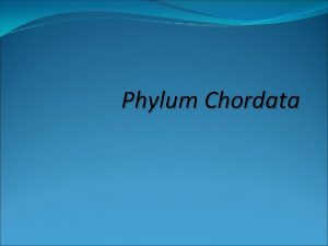 Phylum Chordata SUBPHYLUMS Three Types 1 Urochordata Tunicates