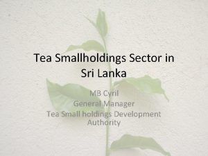 Tea Smallholdings Sector in Sri Lanka MB Cyril