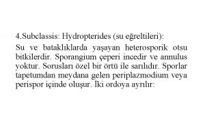 4 Subclassis Hydropterides su ereltileri Su ve bataklklarda