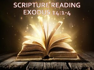 SCRIPTURE READING EXODUS 14 1 4 EXODUS 14