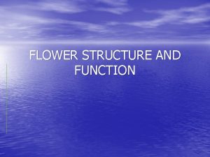 FLOWER STRUCTURE AND FUNCTION Flowering plants or angiosperms
