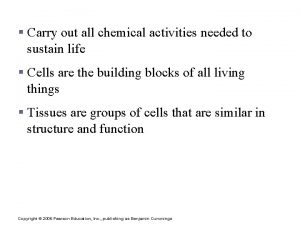 Cells and Tissues Carry out all chemical activities