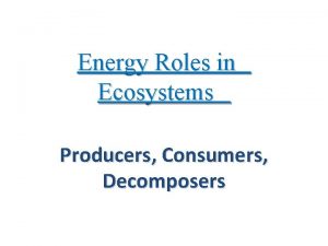 Energy Roles in Ecosystems Producers Consumers Decomposers Producers