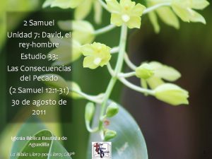 2 Samuel Unidad 7 David el reyhombre Estudio