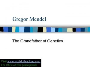 Gregor Mendel The Grandfather of Genetics Visit www