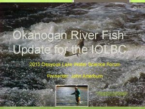 Okanogan River Fish Update for the IOLBC 2015